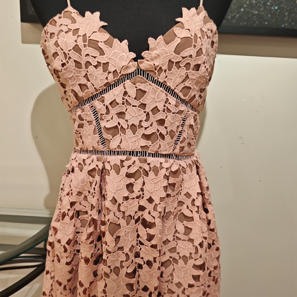 Self-Portrait Blush Pink Lace Midi Dress - Picture 13 of 16